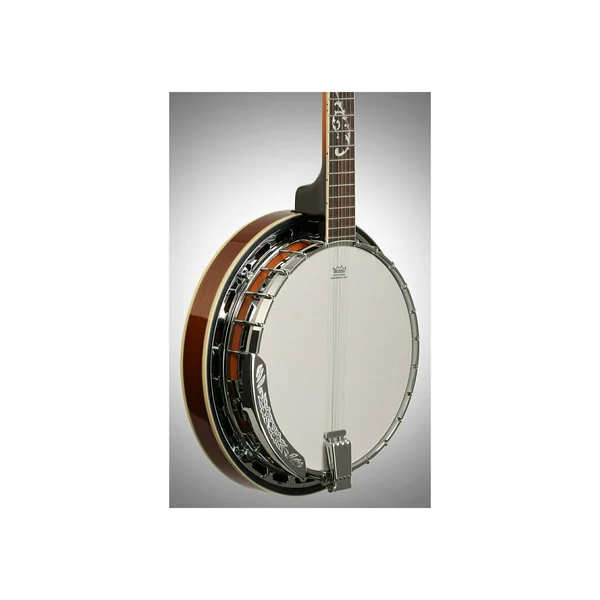 Ibanez B200