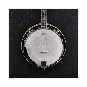 Ibanez B300-BK Banjo