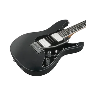 Ibanez BER10 Bernth Signature BK