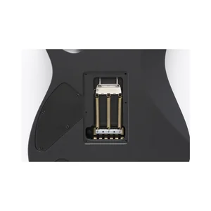 Ibanez ESPR1003 E-Spring