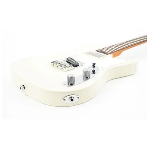 Ibanez FLATV2-MSN