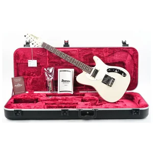 Ibanez FLATV2-MSN