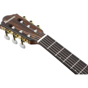 Ibanez FRH10N-BSF
