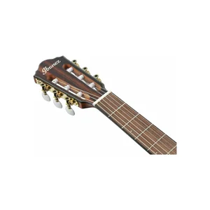 Ibanez FRH10N-NTF