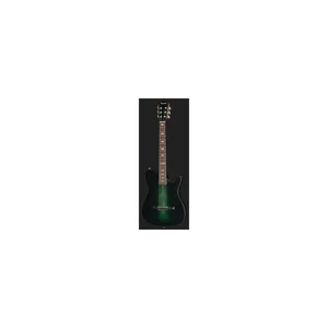 Ibanez FRH20FMN-DGL