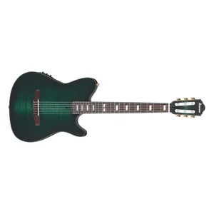 Ibanez FRH20FMN-DGL