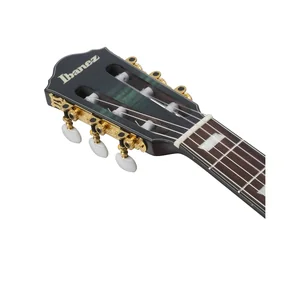 Ibanez FRH20FMN-DGL