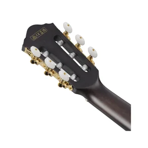 Ibanez FRH20FMN-DGL