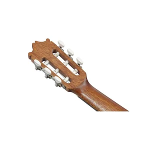 Ibanez GA2-OAM