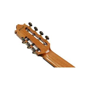 Ibanez GA3007CE-NT