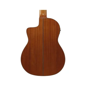 Ibanez GA3007CE-NT