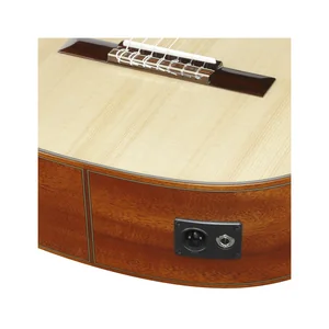 Ibanez GA3007CE-NT