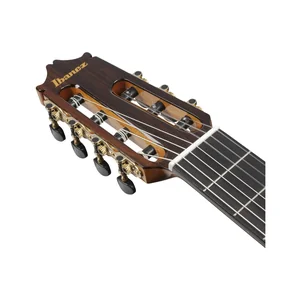 Ibanez GA3007CE-NT