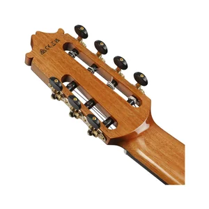 Ibanez GA3007CE-NT