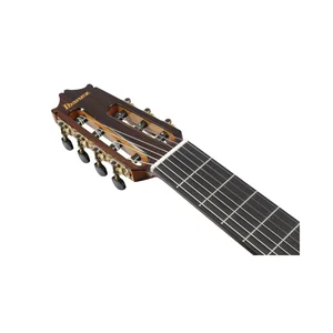 Ibanez GA3007CE-NT