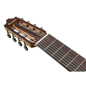 Ibanez GA3008CE-NT