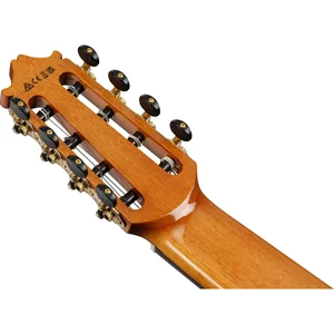 Ibanez GA3008CE-NT