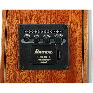 Ibanez GA3008CE-NT