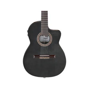 Ibanez GA360TCE-TBK