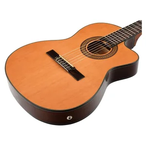 Ibanez GA5TCE-AM