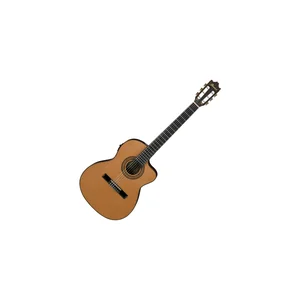 Ibanez GA5TCE-AM
