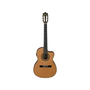 Ibanez GA5TCE-AM