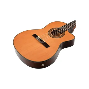 Ibanez GA5TCE-AM