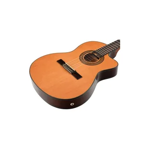 Ibanez GA5TCE-AM