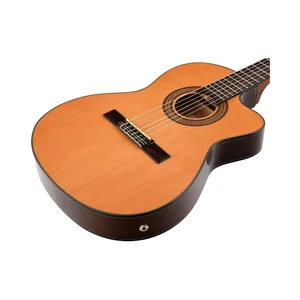 Ibanez GA5TCE-AM