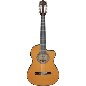 Ibanez GA5TCE3Q-AM