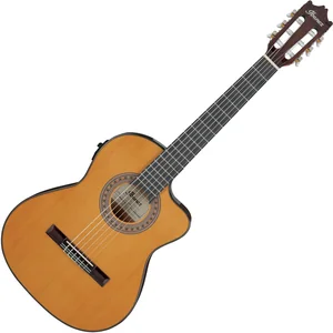 Ibanez GA5TCE3Q-AM