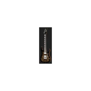 Ibanez GRG220PA1-BKB
