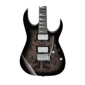 Ibanez GRG220PA1-BKB