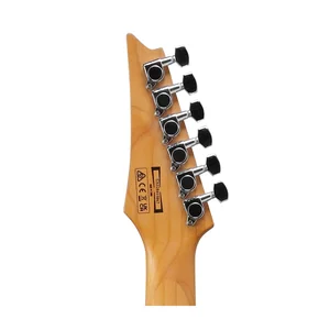 Ibanez GRG220PA1-BKB