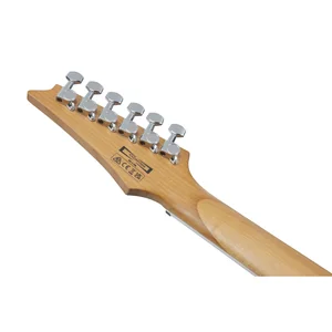 Ibanez GRG220PA1-BKB