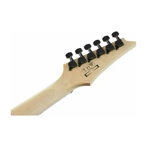 Ibanez GRGR221PA-AQB