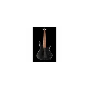 Ibanez GSR205B-WK