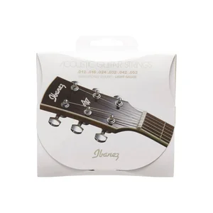 Ibanez IACS6C Acoustic Steel Strings