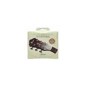 Ibanez IACSP61C Acoustic Steel