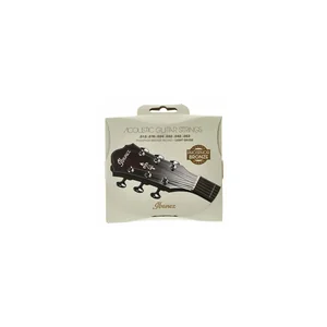 Ibanez IACSP6C Acoustic Steel Strings