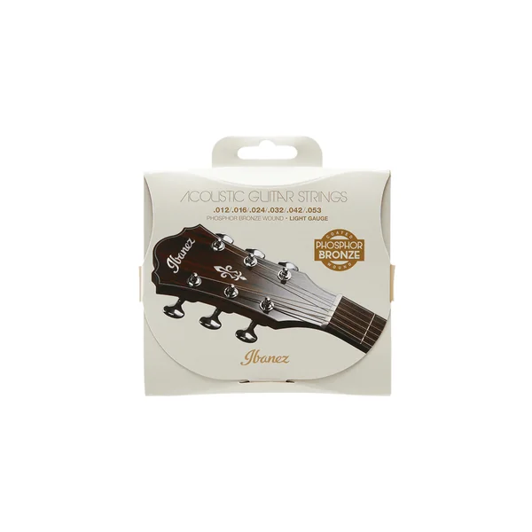 Ibanez IACSP6C Acoustic Steel Strings