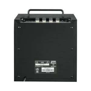 Ibanez IBZ10GV2