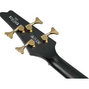 Ibanez ICB620-BKF