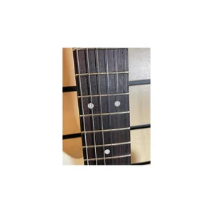 Ibanez ICHI00-VWH