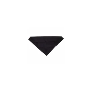 Ibanez IGC100 Guitar Polishing Cloth