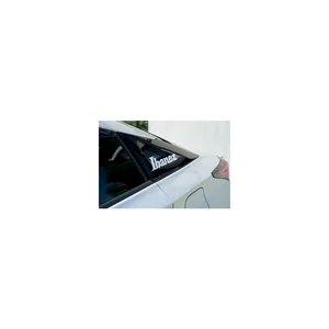 Ibanez ILS1-WH Sticker
