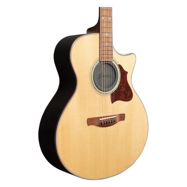 Ibanez ISC1 Sound Hole Cover