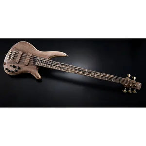 Ibanez IV1SR