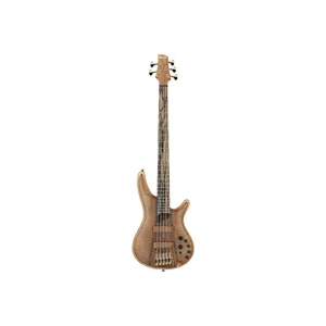 Ibanez IV1SR