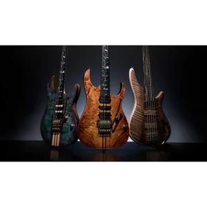 Ibanez IV2RG Visions RG